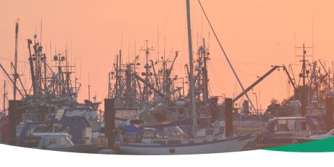 Steveston Fishing Boats Sunset